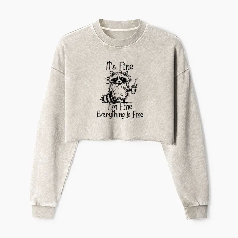 Magmoo Raccoon Fine Meme Washed Crop Sweatshirt