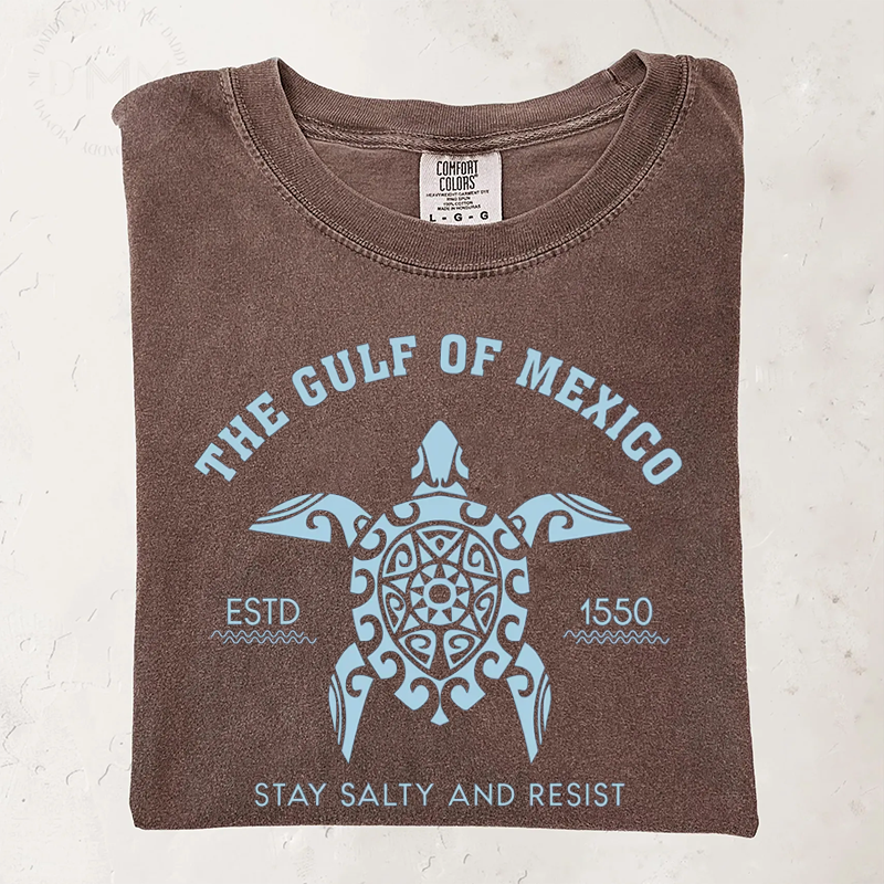 Comfort Colors Gulf of Mexico T-shirt-Magmoo