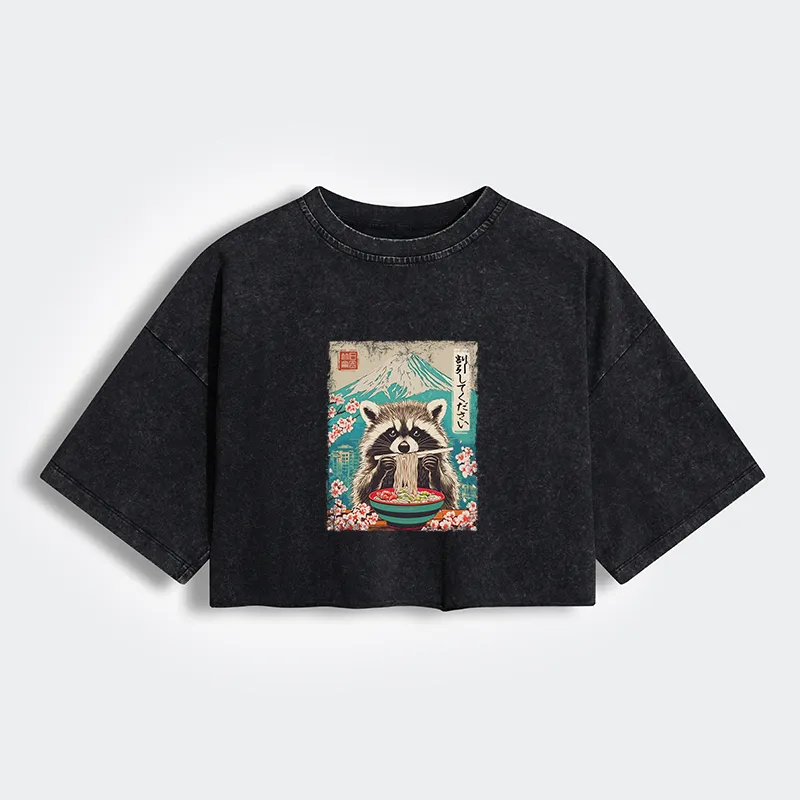 Magmoo Please Give Raccoon A Discount Women's Washed Crop T-Shirt