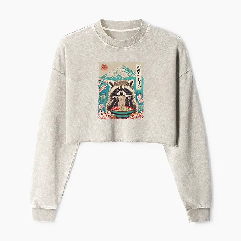 Magmoo Please Give Raccoon A Discount Washed Crop Sweatshirt