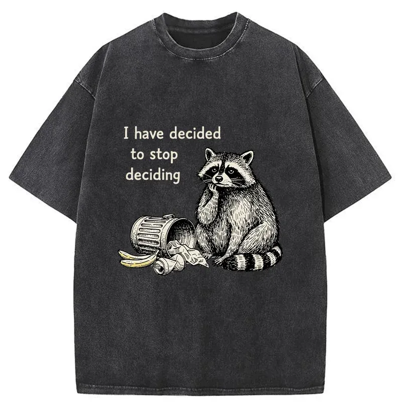 Magmoo Raccoon Stops Making Choices Washed T-Shirt