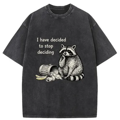 Magmoo Raccoon Stops Making Choices Washed T-Shirt