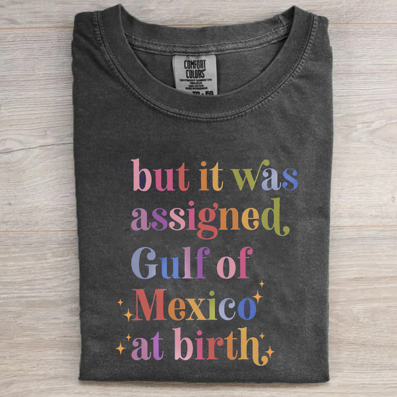 But It Was Assigned Gulf of Mexico at Birth T-shirt-Magmoo
