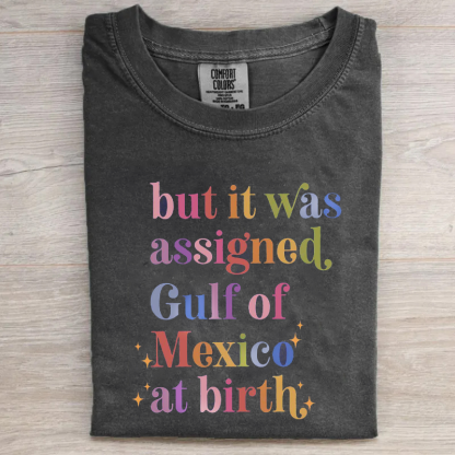 But It Was Assigned Gulf of Mexico at Birth T-shirt-Magmoo