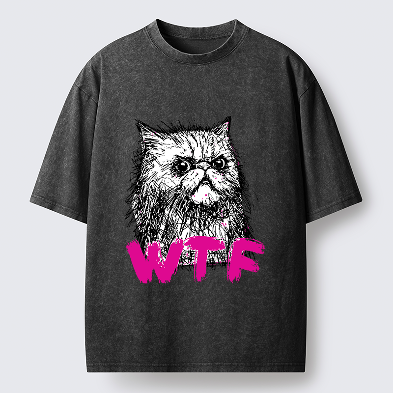 Magmoo Angry And Sloppy Cat Washed T-Shirt-Magmoo