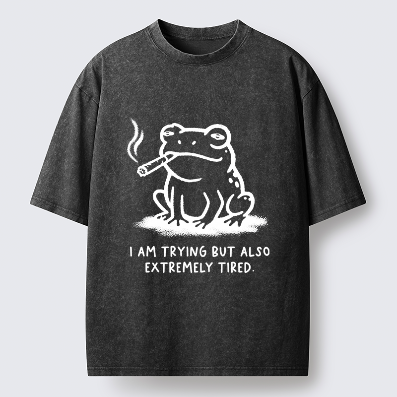 Magmoo Hardworking But Tired Frog Washed T-Shirt