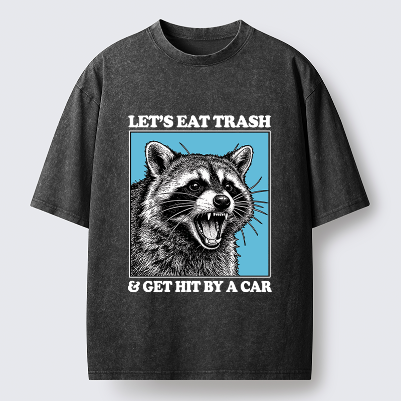 Magmoo Raccoon Rebellion Washed T-Shirt-Magmoo