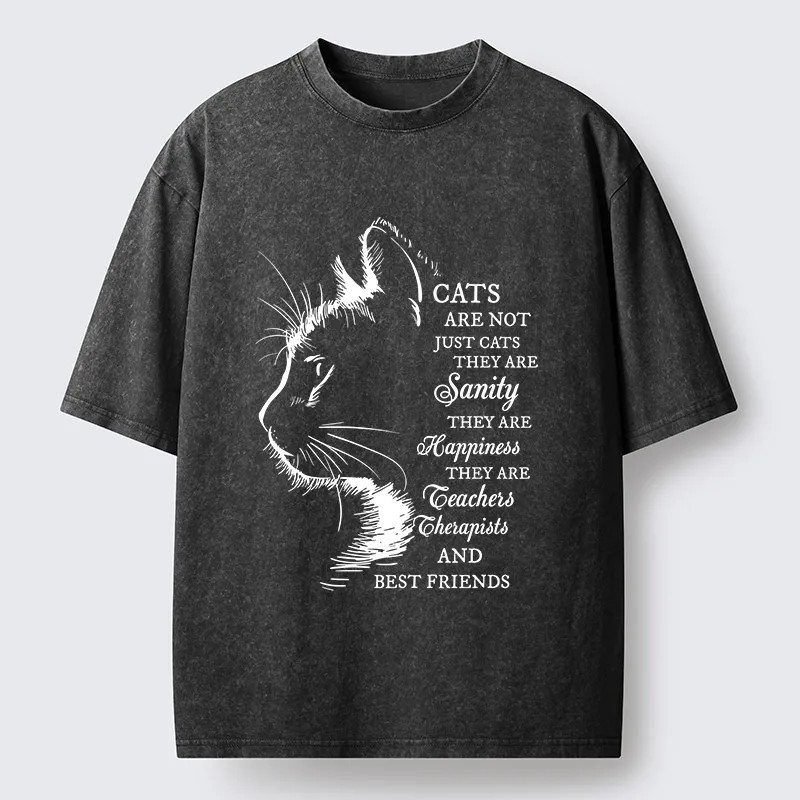 Magmoo Cat Best Friend Washed T-Shirt-Magmoo