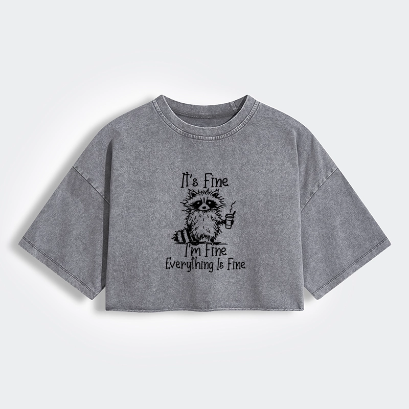 Magmoo Raccoon Fine Meme Women's Washed Crop T-Shirt