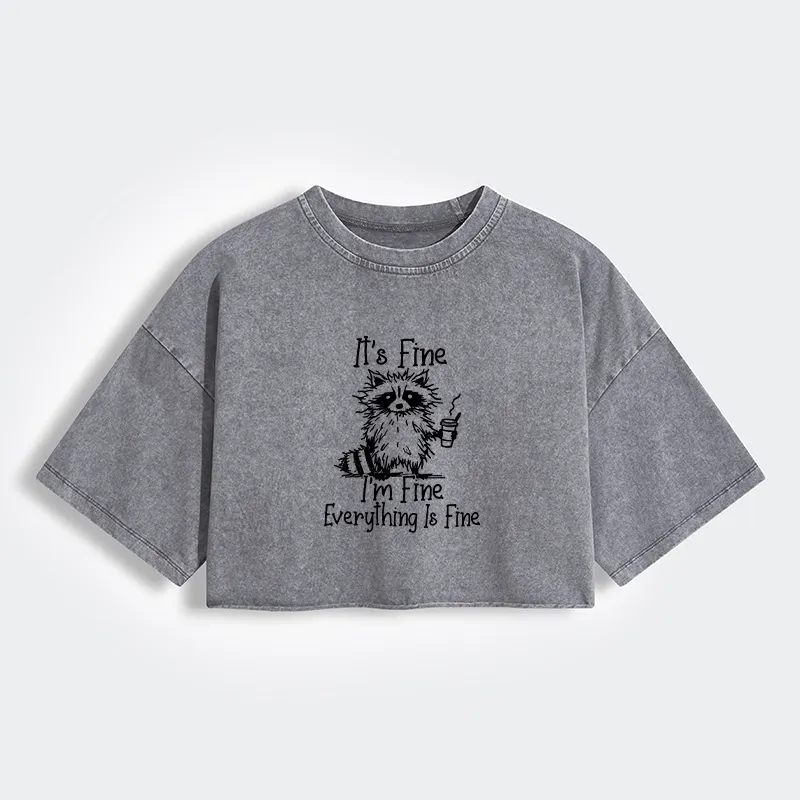 Magmoo Raccoon Fine Meme Women's Washed Crop T-Shirt