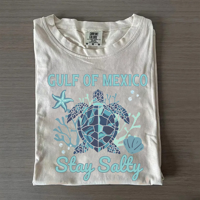 Comfort Colors Gulf of Mexico T-shirt-Magmoo