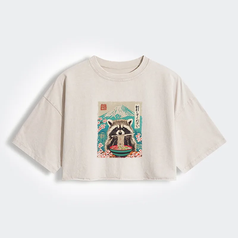 Magmoo Please Give Raccoon A Discount Women's Washed Crop T-Shirt