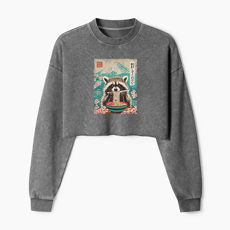 Magmoo Please Give Raccoon A Discount Washed Crop Sweatshirt