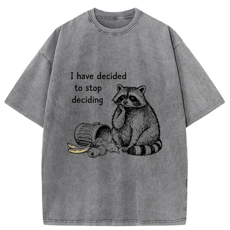 Magmoo Raccoon Stops Making Choices Washed T-Shirt