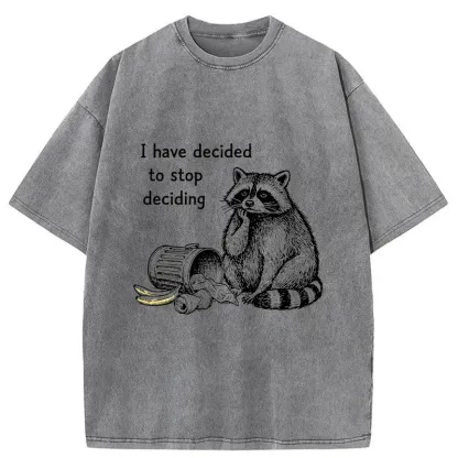 Magmoo Raccoon Stops Making Choices Washed T-Shirt