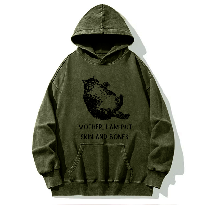 Magmoo Overweight Cat And Its Doting Owner Washed Hoodie