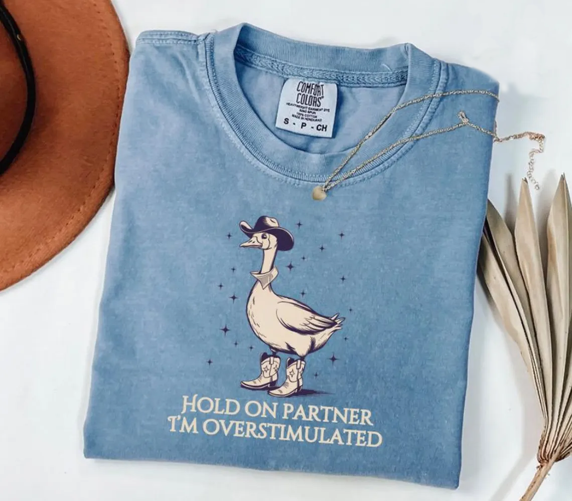 Comfort Colors Hold On Partner I'm Overstimulated Goose Funny T-Shirt