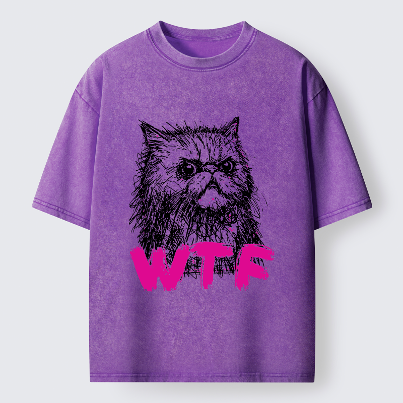 Magmoo Angry And Sloppy Cat Washed T-Shirt-Magmoo