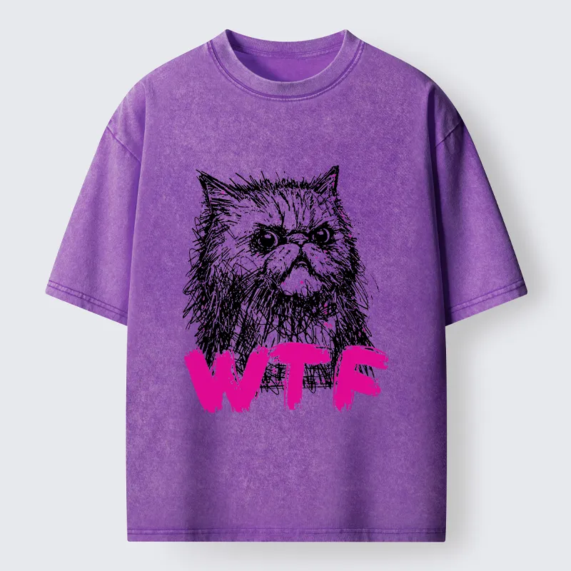 Magmoo Angry And Sloppy Cat Washed T-Shirt-Magmoo