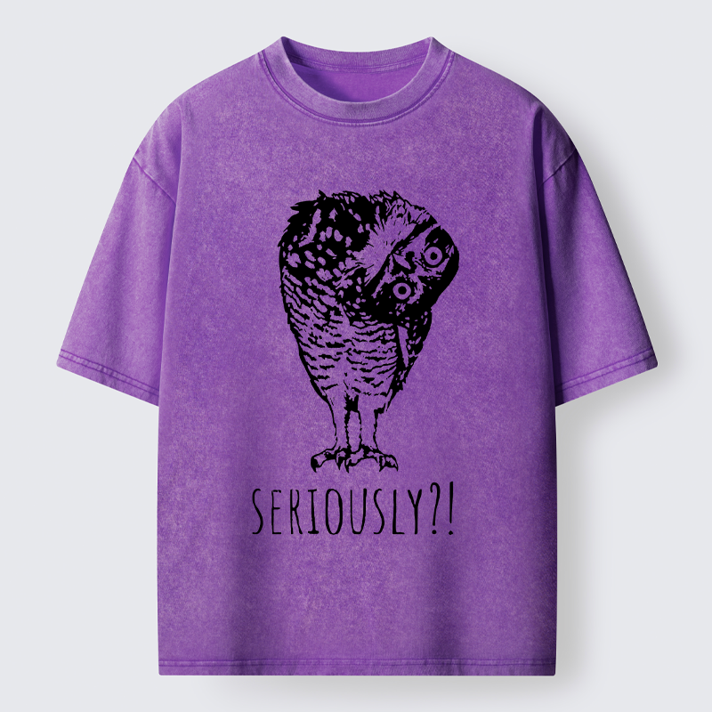 Magmoo Owl's Question Washed T-Shirt-Magmoo