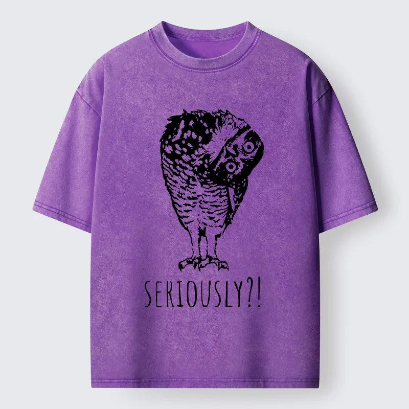 Magmoo Owl's Question Washed T-Shirt-Magmoo