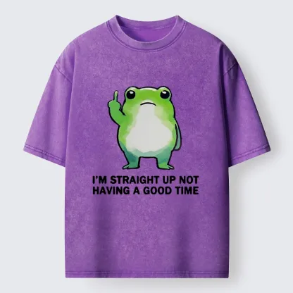 Magmoo Grumpy Frog’s Bad Mood Washed T-Shirt-Magmoo