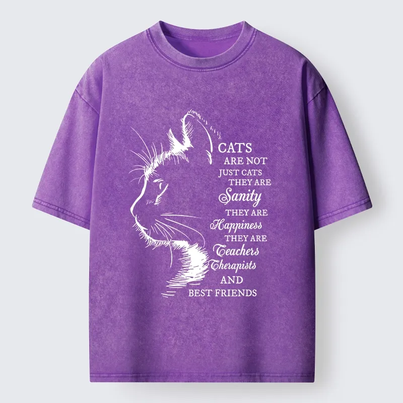 Magmoo Cat Best Friend Washed T-Shirt-Magmoo