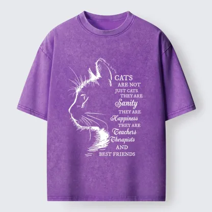 Magmoo Cat Best Friend Washed T-Shirt-Magmoo