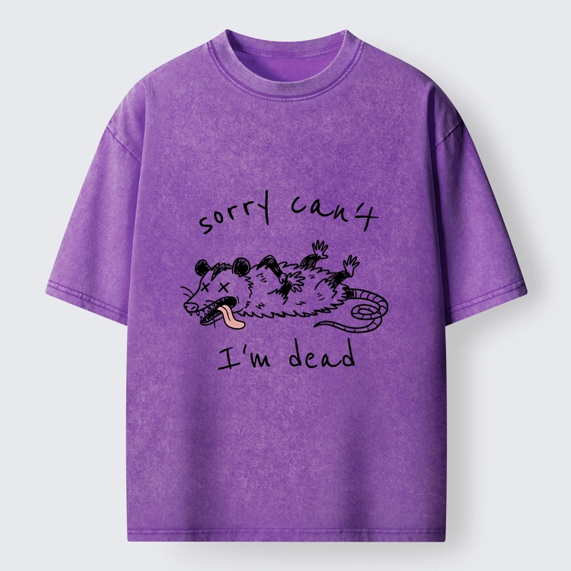 Magmoo Opossum Dead Mode Funny Life Washed T-Shirt