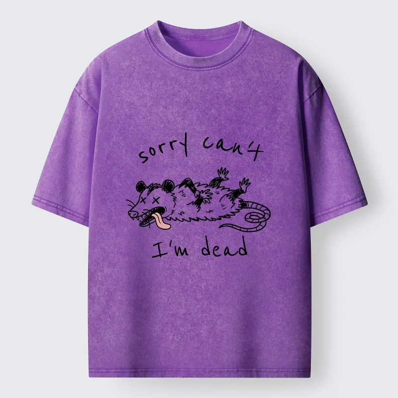 Magmoo Opossum Dead Mode Funny Life Washed T-Shirt