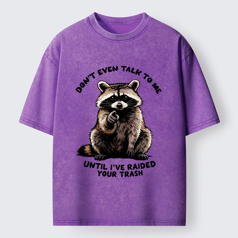 Magmoo Don't Talk To Me Raccoon Vibe Washed T-Shirt