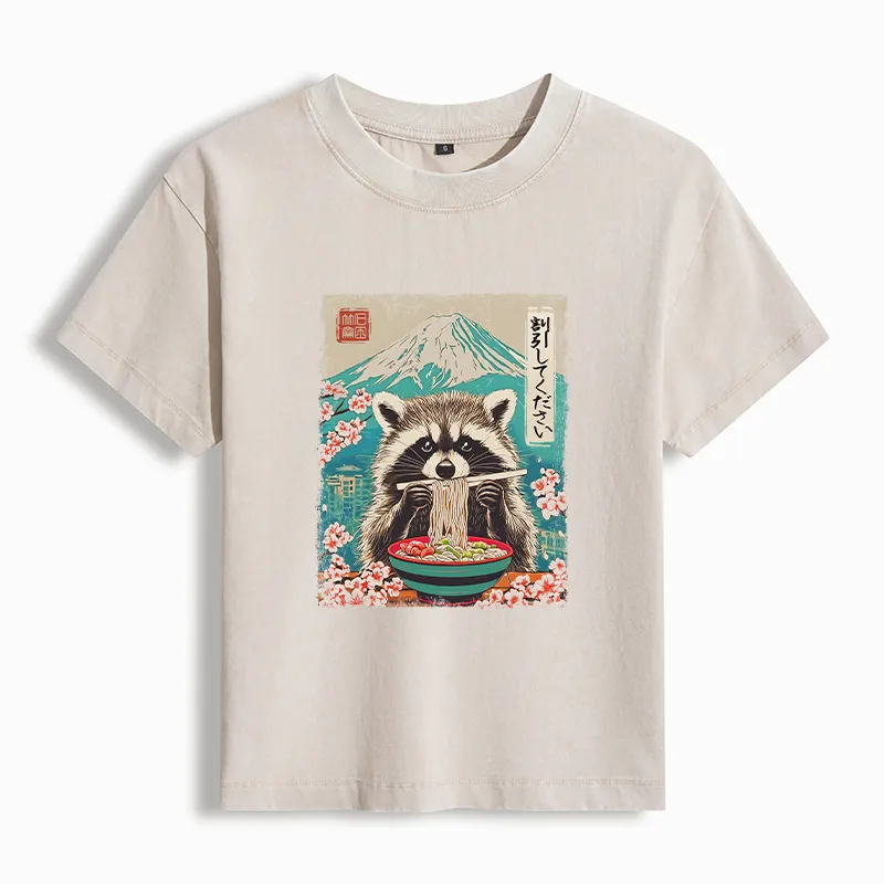 Magmoo Please Give Raccoon A Discount Women's Washed T-shirt