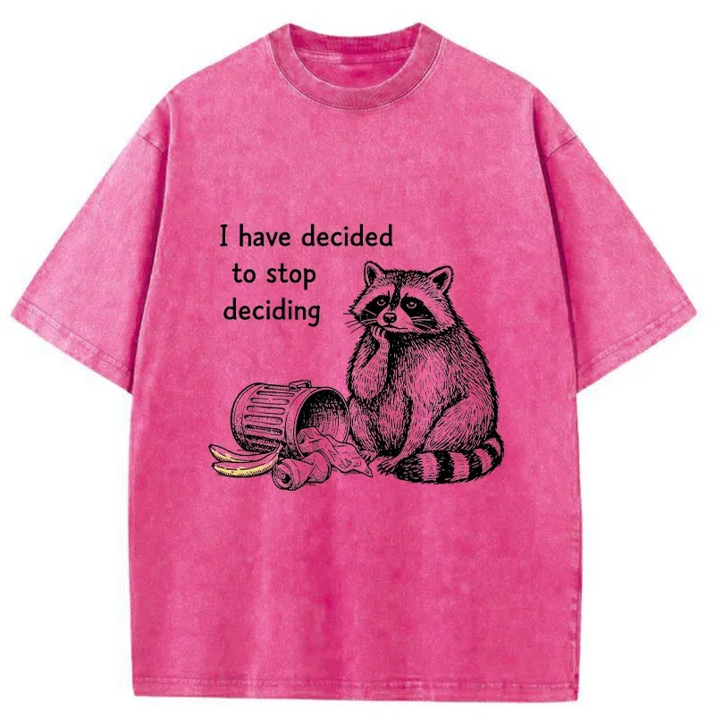 Magmoo Raccoon Stops Making Choices Washed T-Shirt