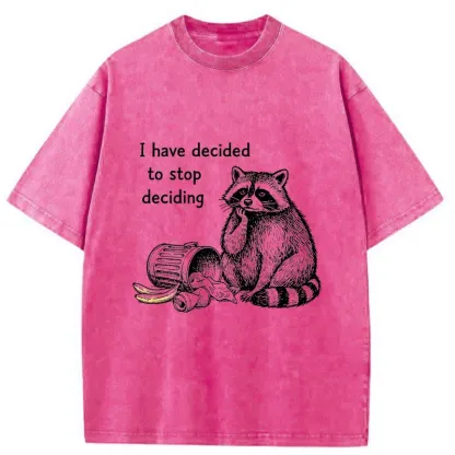 Magmoo Raccoon Stops Making Choices Washed T-Shirt