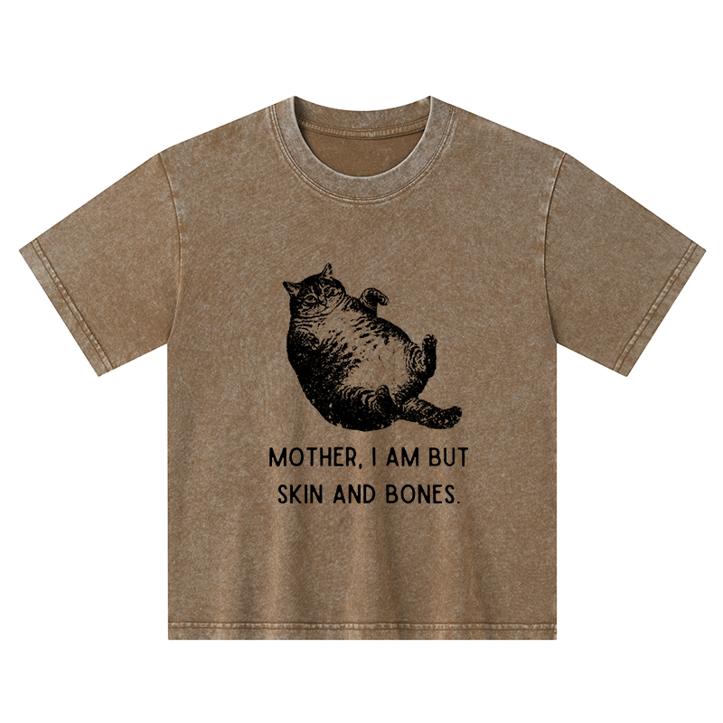 Magmoo Overweight Cat And Its Doting Owner Kids Washed T-Shirt