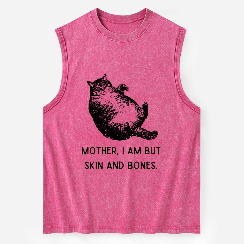 Magmoo Overweight Cat And Its Doting Owner Washed Tank