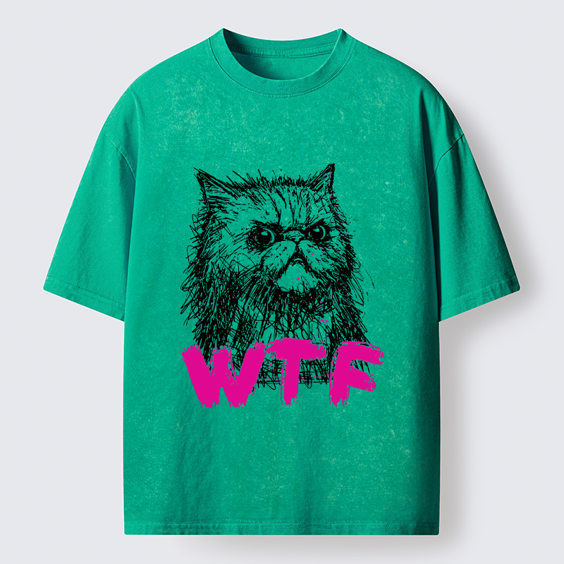 Magmoo Angry And Sloppy Cat Washed T-Shirt-Magmoo
