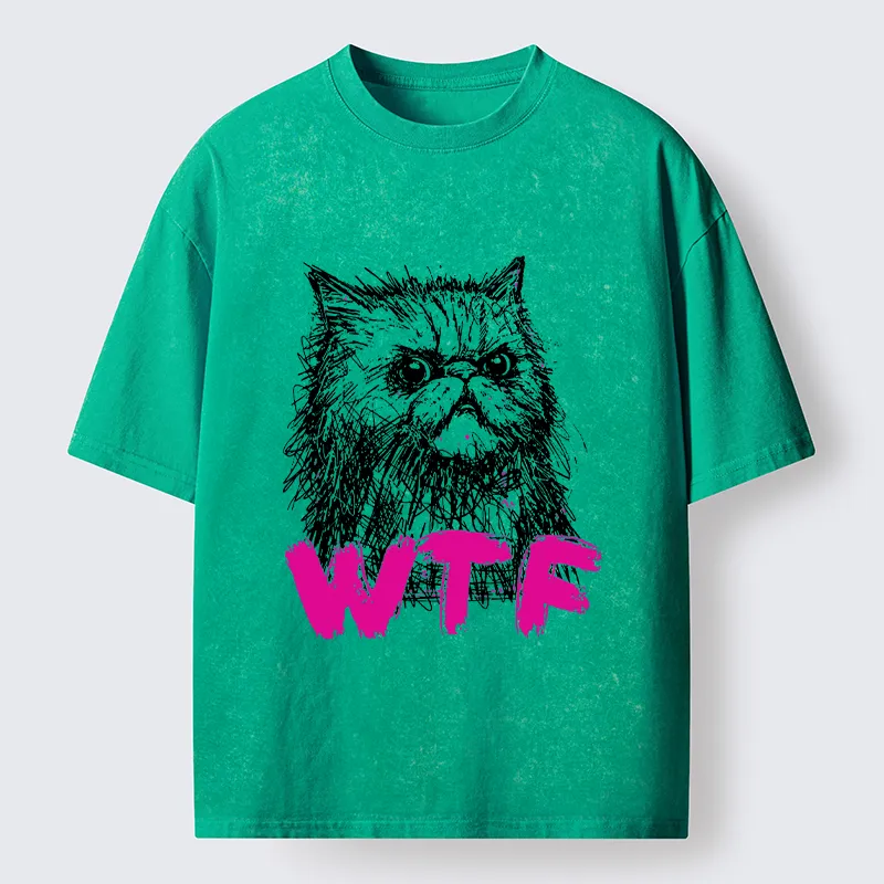 Magmoo Angry And Sloppy Cat Washed T-Shirt-Magmoo