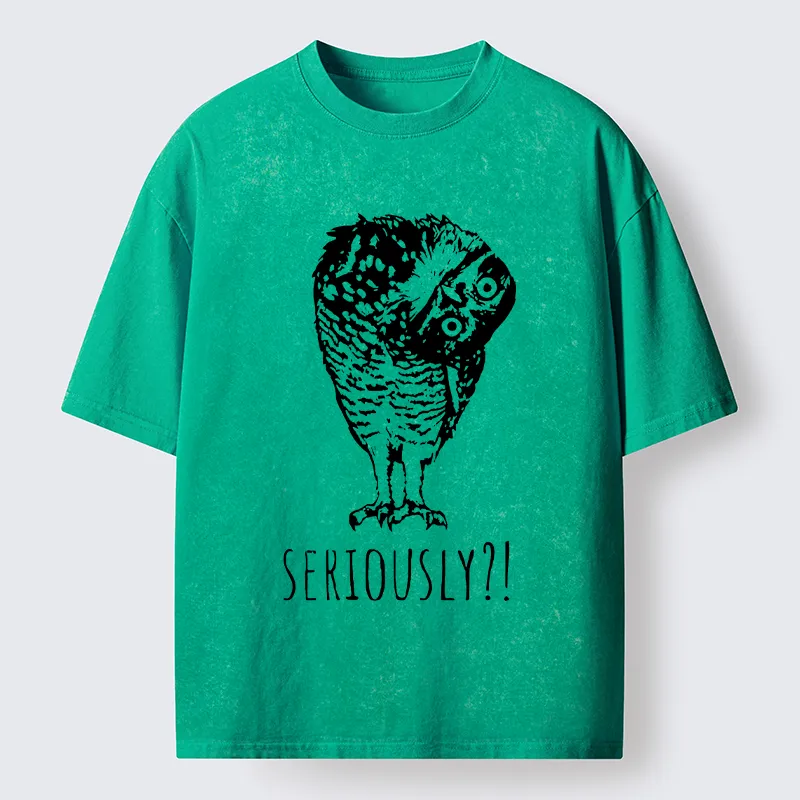 Magmoo Owl's Question Washed T-Shirt-Magmoo