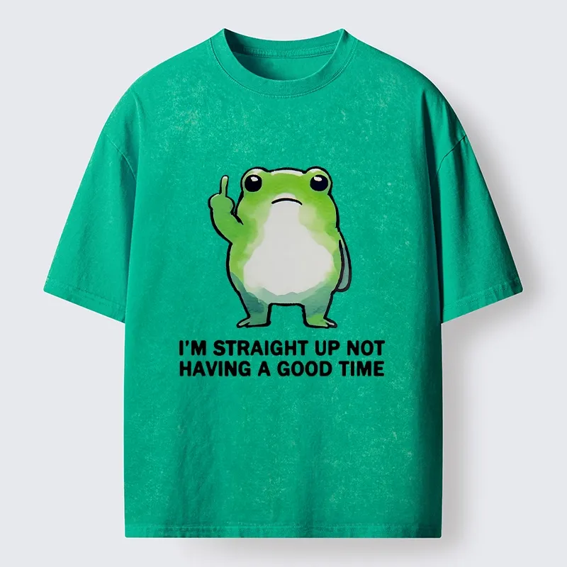 Magmoo Grumpy Frog’s Bad Mood Washed T-Shirt-Magmoo
