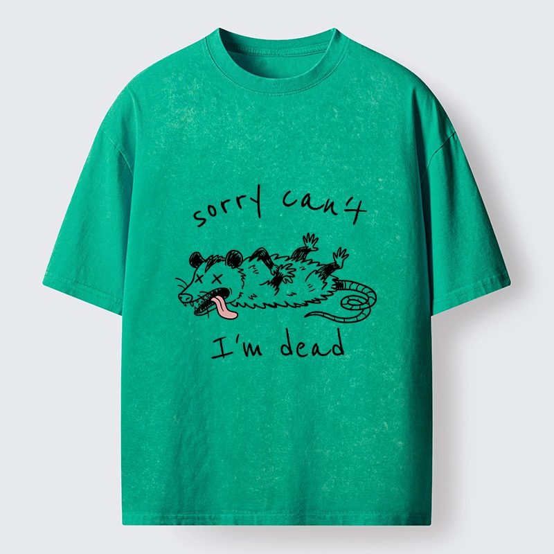 Magmoo Opossum Dead Mode Funny Life Washed T-Shirt
