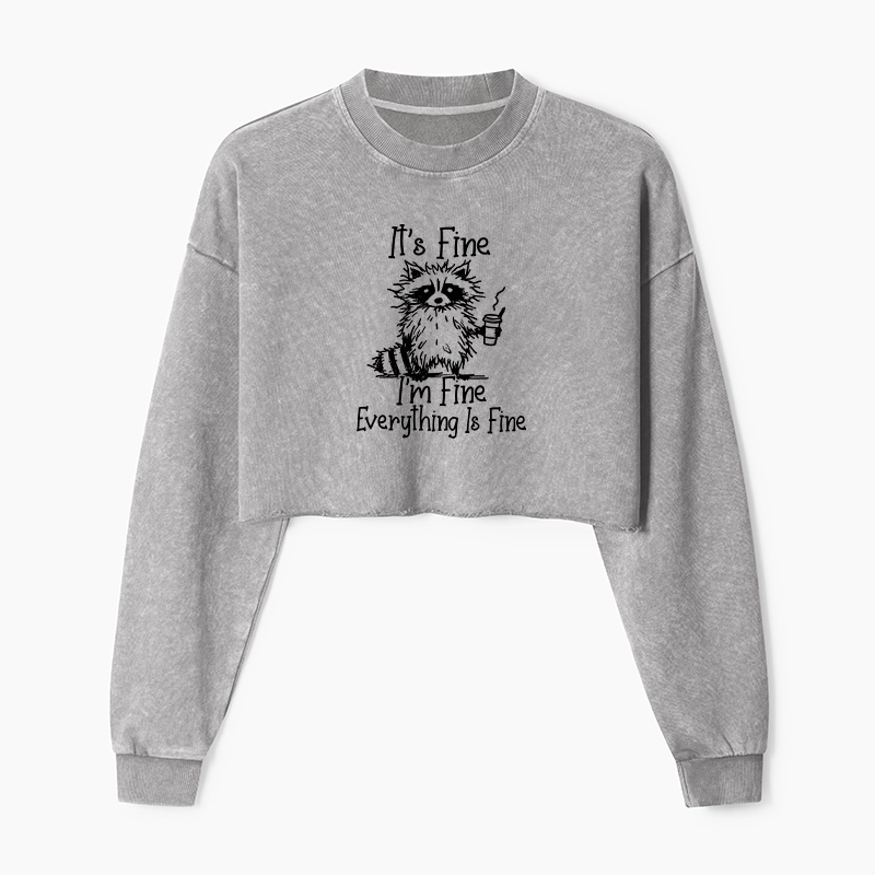 Magmoo Raccoon Fine Meme Washed Crop Sweatshirt