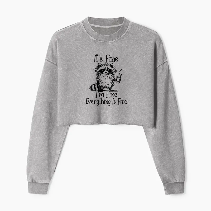 Magmoo Raccoon Fine Meme Washed Crop Sweatshirt