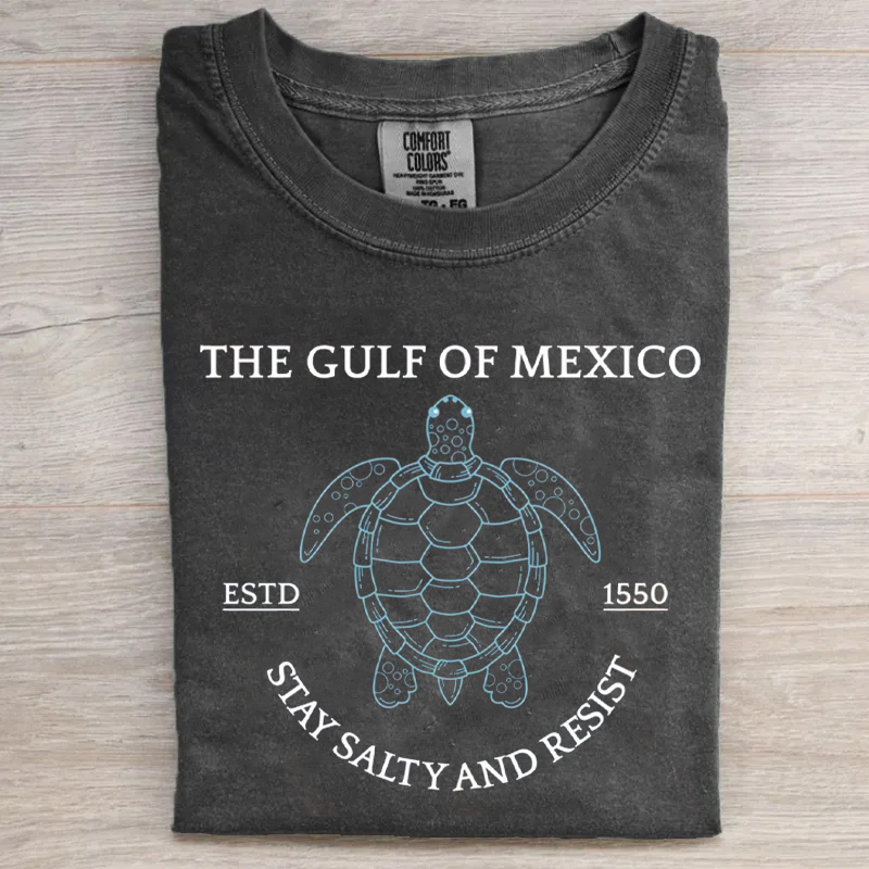 Comfort Colors Gulf of Mexico T-shirt-Magmoo