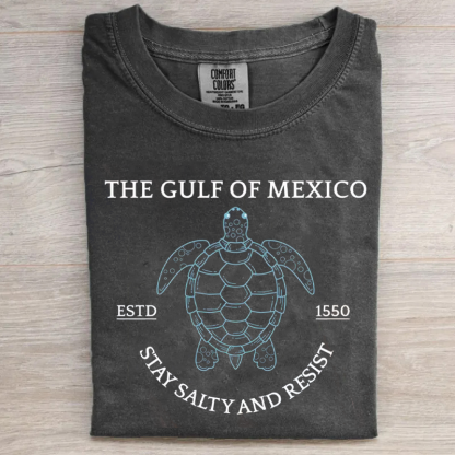 Comfort Colors Gulf of Mexico T-shirt-Magmoo