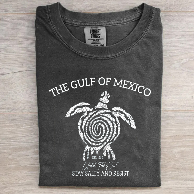 Comfort Colors Gulf of Mexico T-shirt-Magmoo