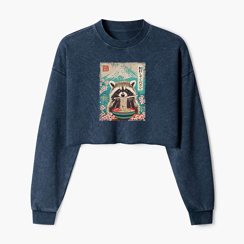 Magmoo Please Give Raccoon A Discount Washed Crop Sweatshirt