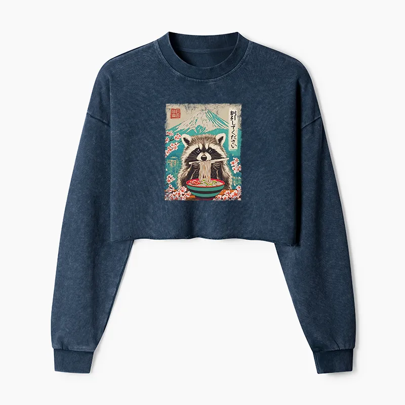 Magmoo Please Give Raccoon A Discount Washed Crop Sweatshirt
