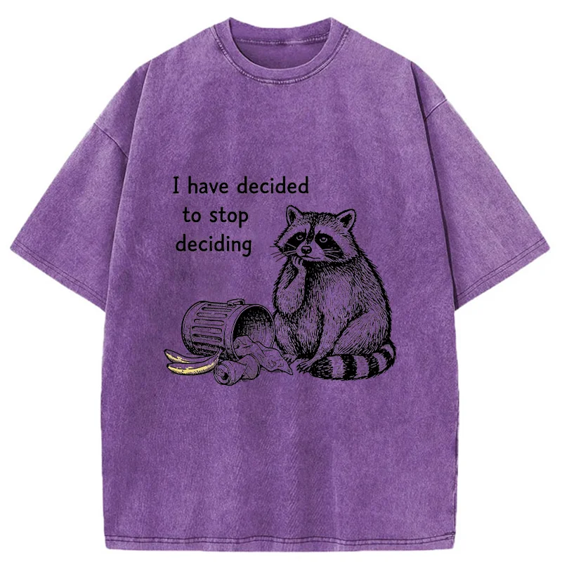 Magmoo Raccoon Stops Making Choices Washed T-Shirt