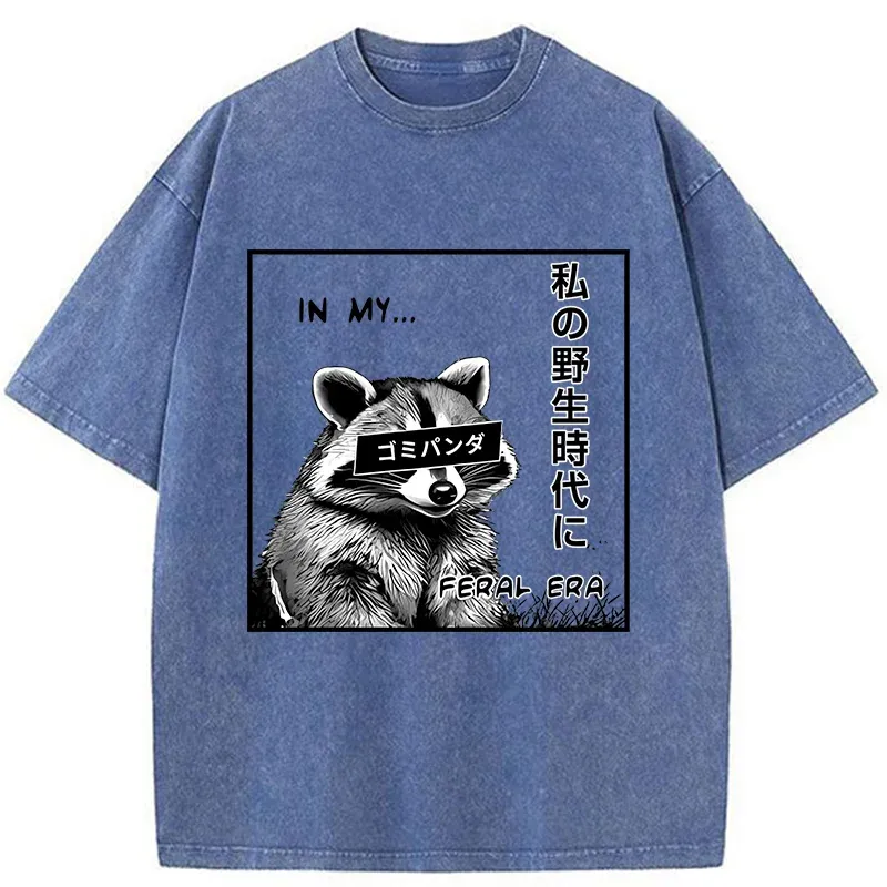 Magmoo Japanese Wild Raccoon Washed T-Shirt